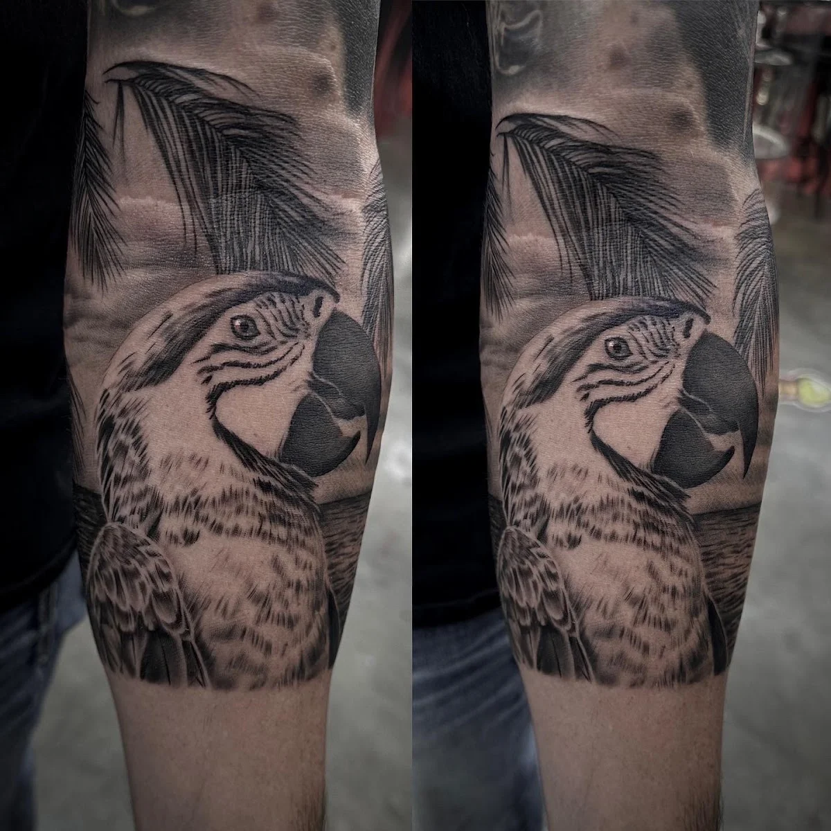 AJ Harber Tattoos tattoo shop in Noblesville, IN
