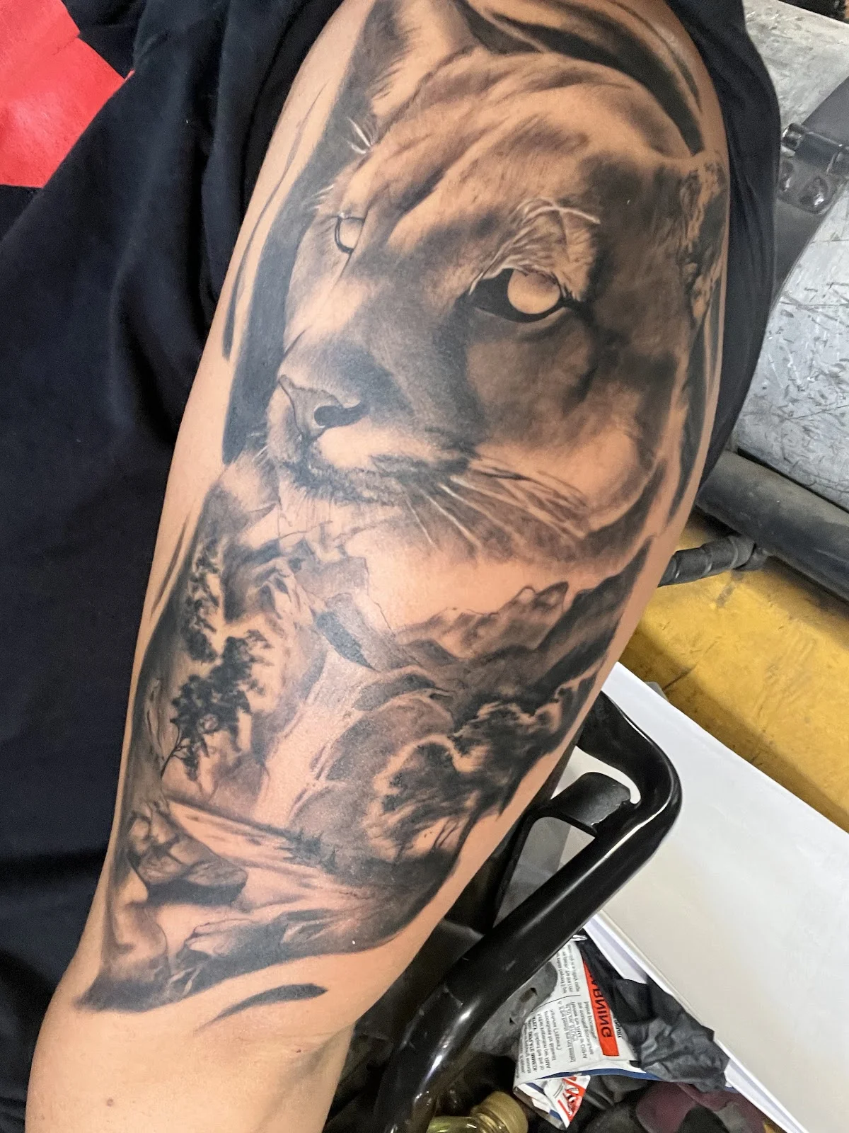 Splash of Ink tattoo studio tattoo shop in Evansville, IN