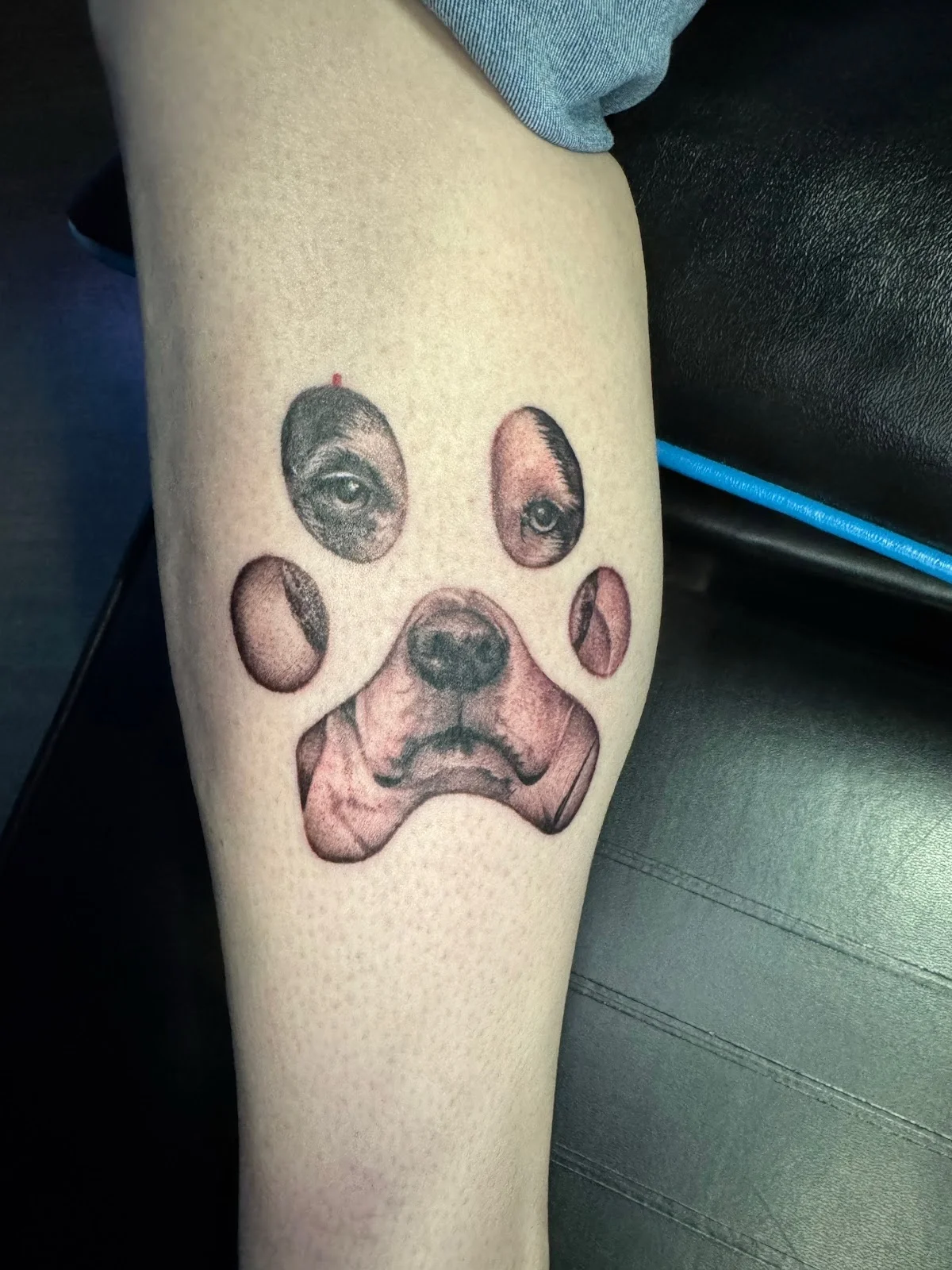 Night Signal Tattoo Lounge tattoo shop in Lafayette, IN