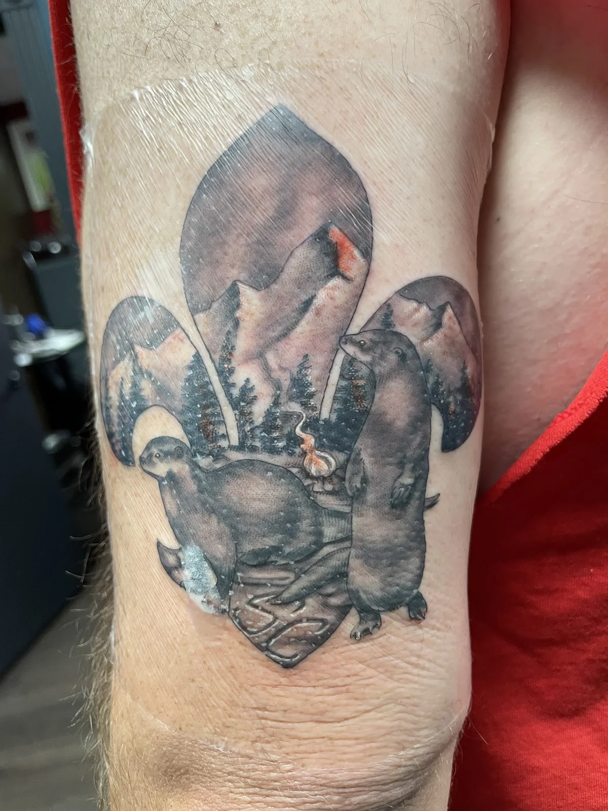Aftershock Tattoo Company tattoo shop in Overland Park, KS