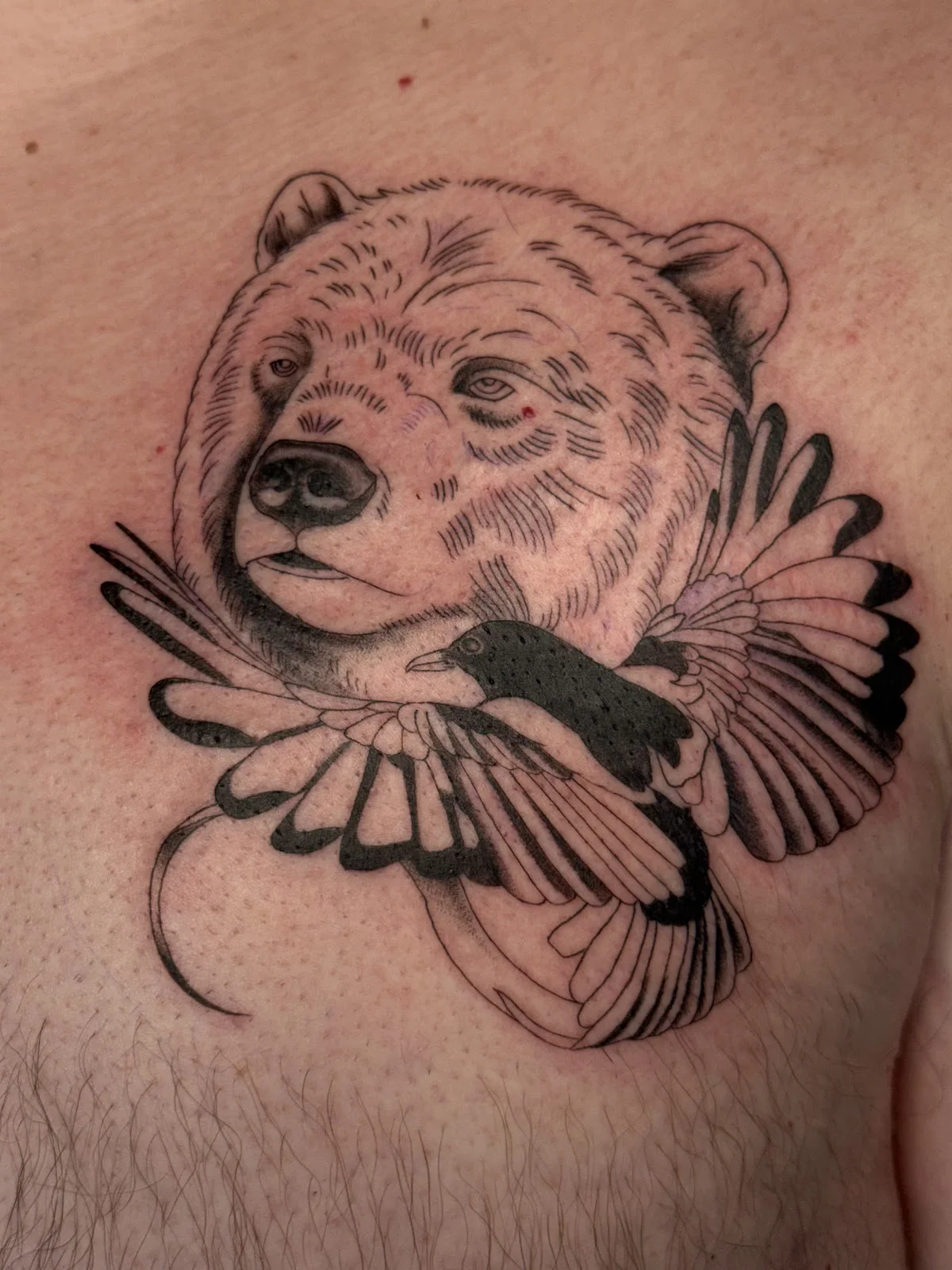 Blue Crab Tattoo and Body Piercing tattoo shop in Frederick, MD