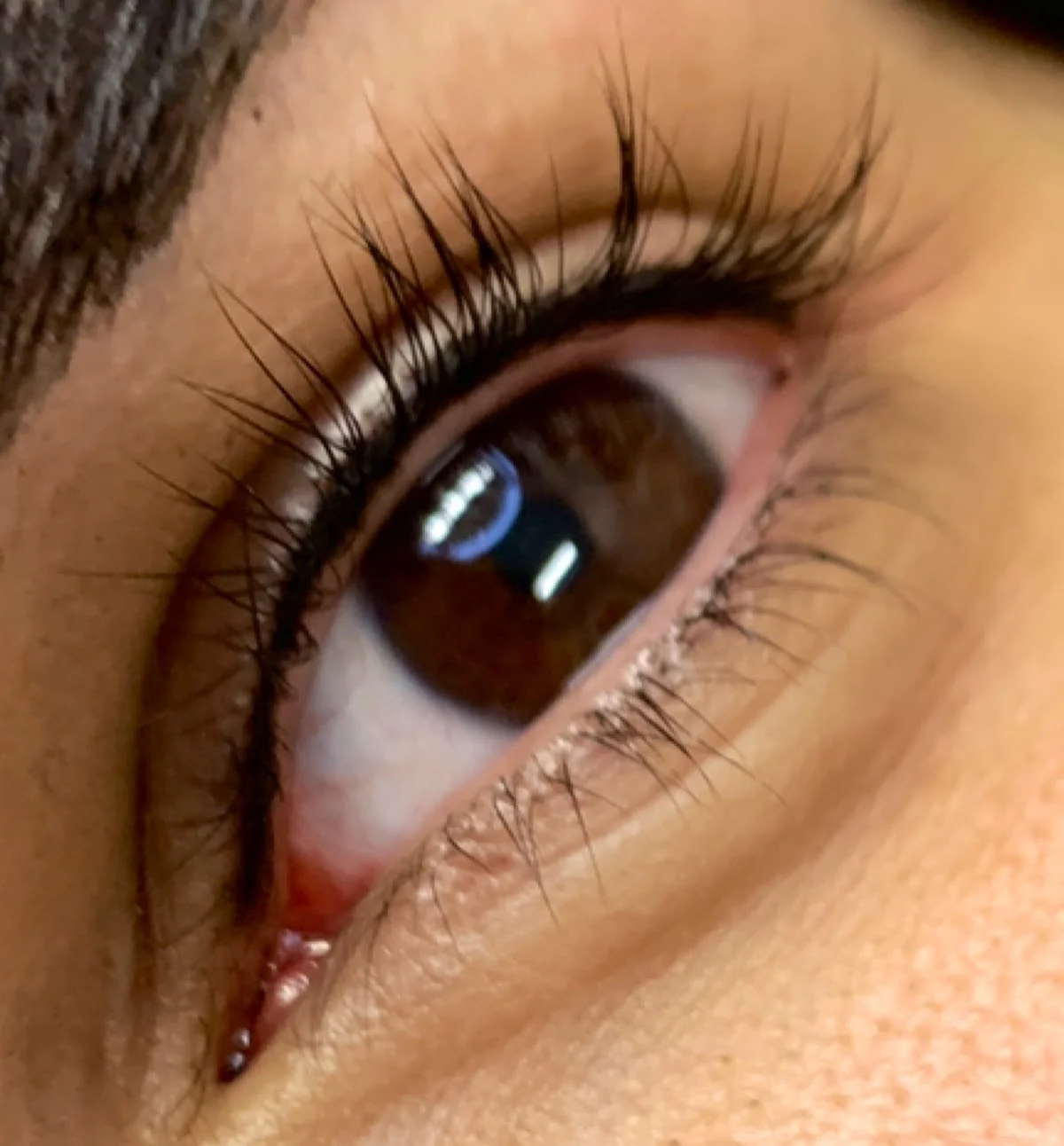 Haiku, Ink. Microblading Alternative in Maryland tattoo shop in Columbia, MD