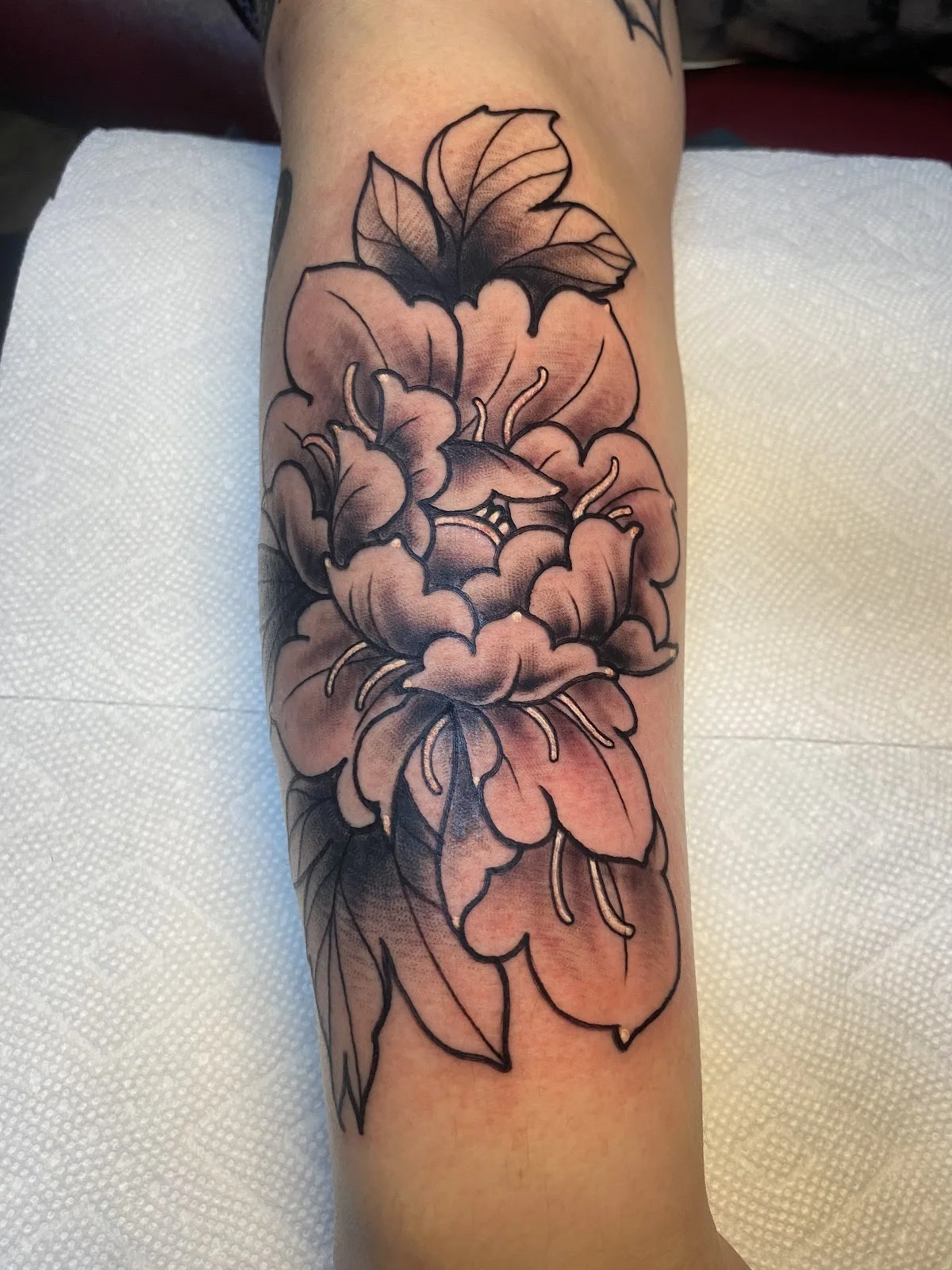 Thousand Needles Tattoo photo