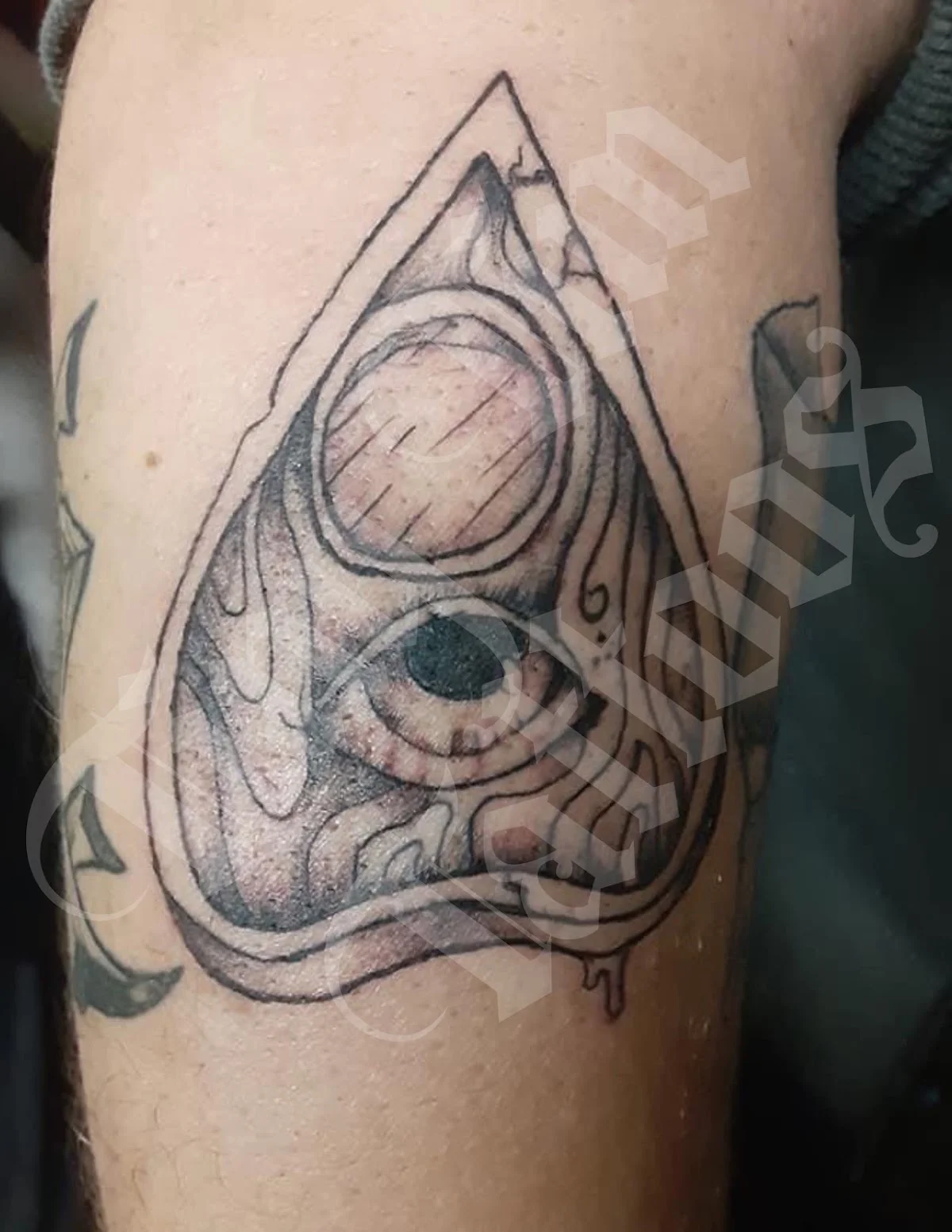 Alpha & Omega INK tattoo shop in Wyoming, MI