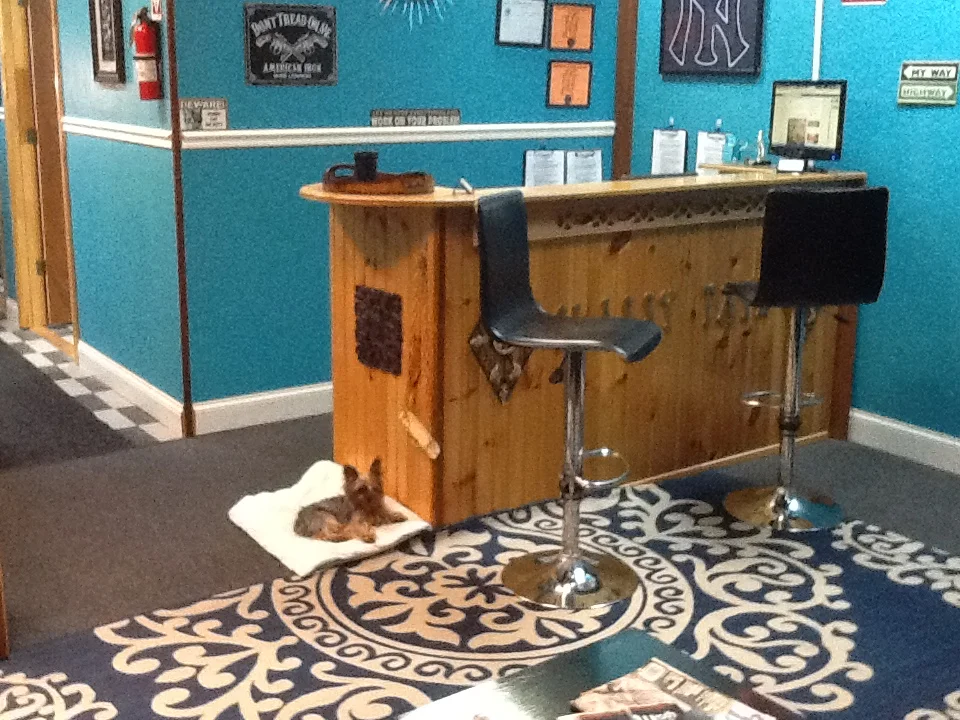 Classy Tatz Tattoo & Body Piercing Studio tattoo shop in Hattiesburg, MS