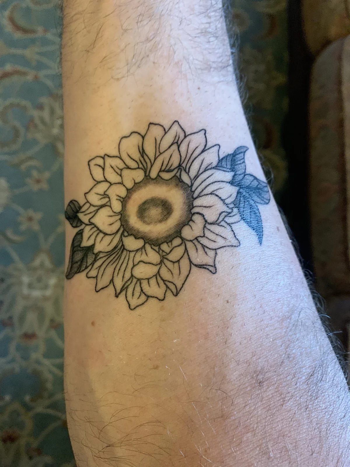 The Bearded Lady Tattoo Parlor tattoo shop in Springfield, MO