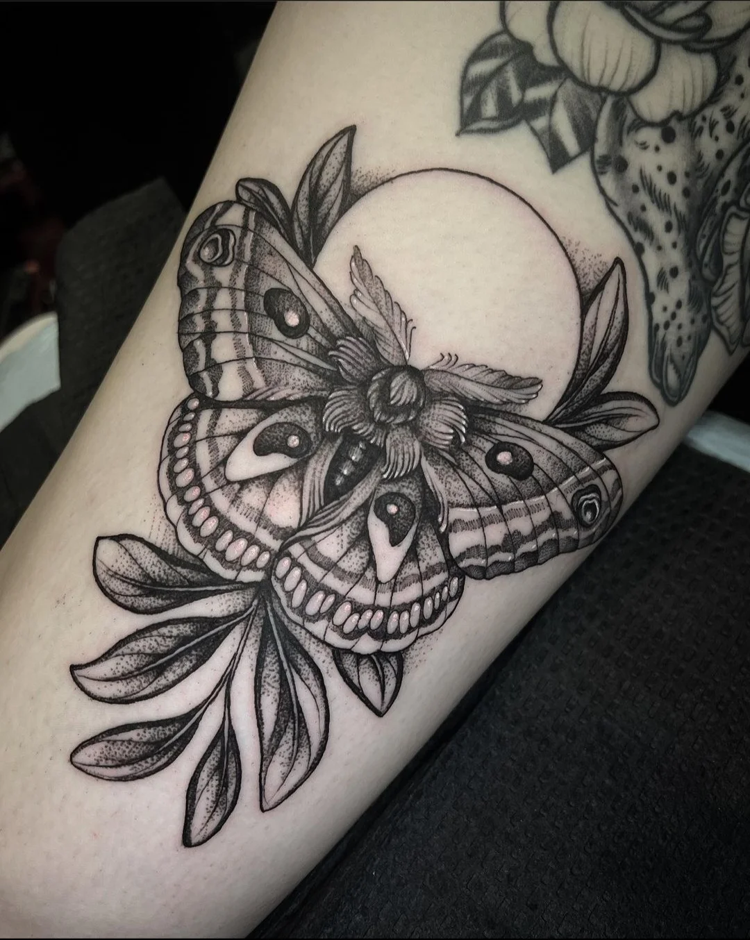 Golden Order Tattoo! tattoo shop in Concord, NH