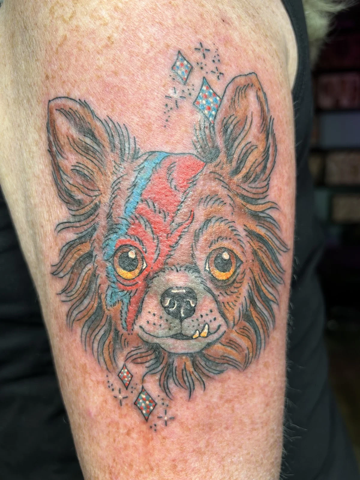 Black Tooth Tattoo tattoo shop in Akron, OH