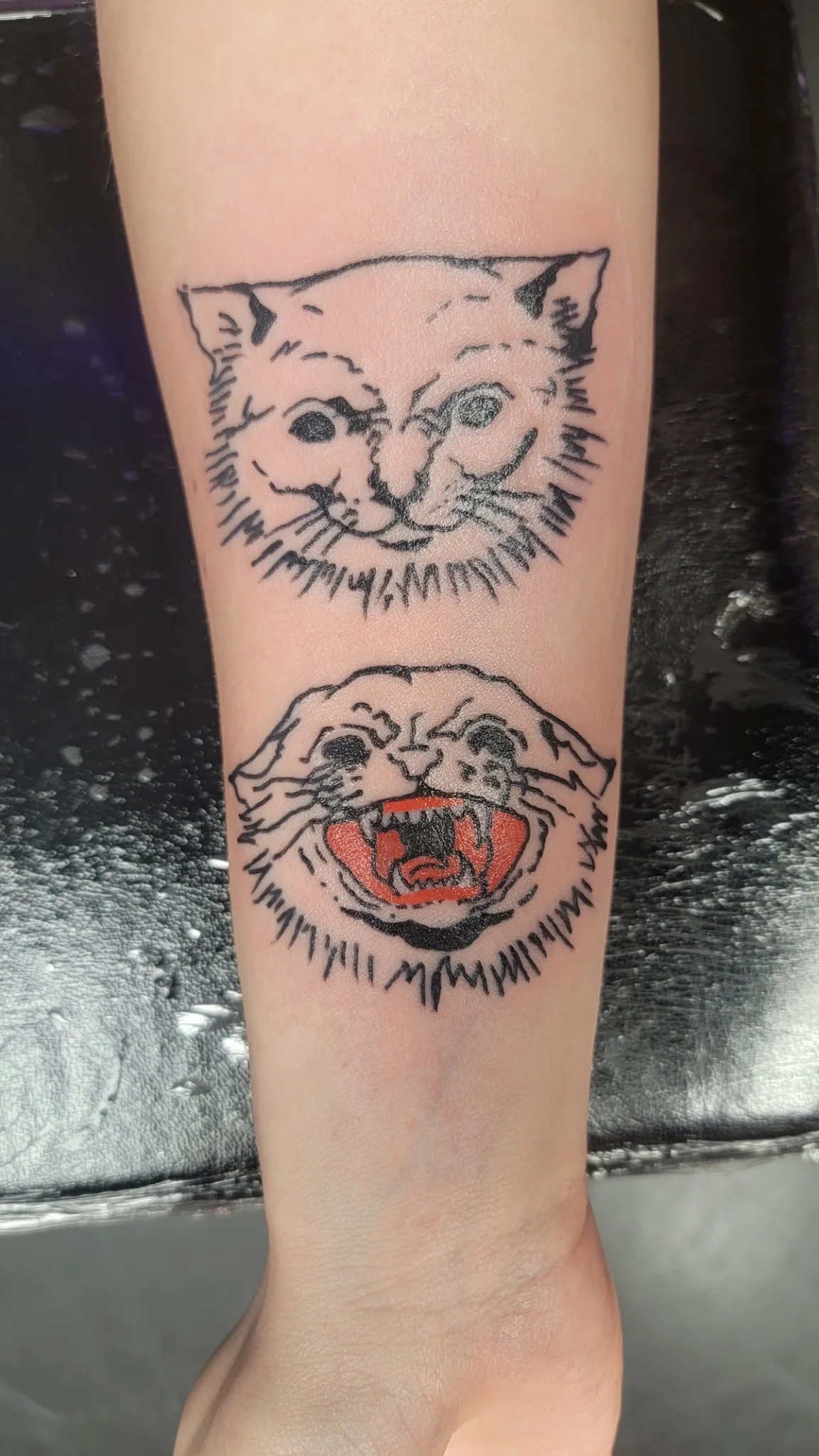 Body Revolution Tattoos & Body Piercings tattoo shop in Cleveland, OH