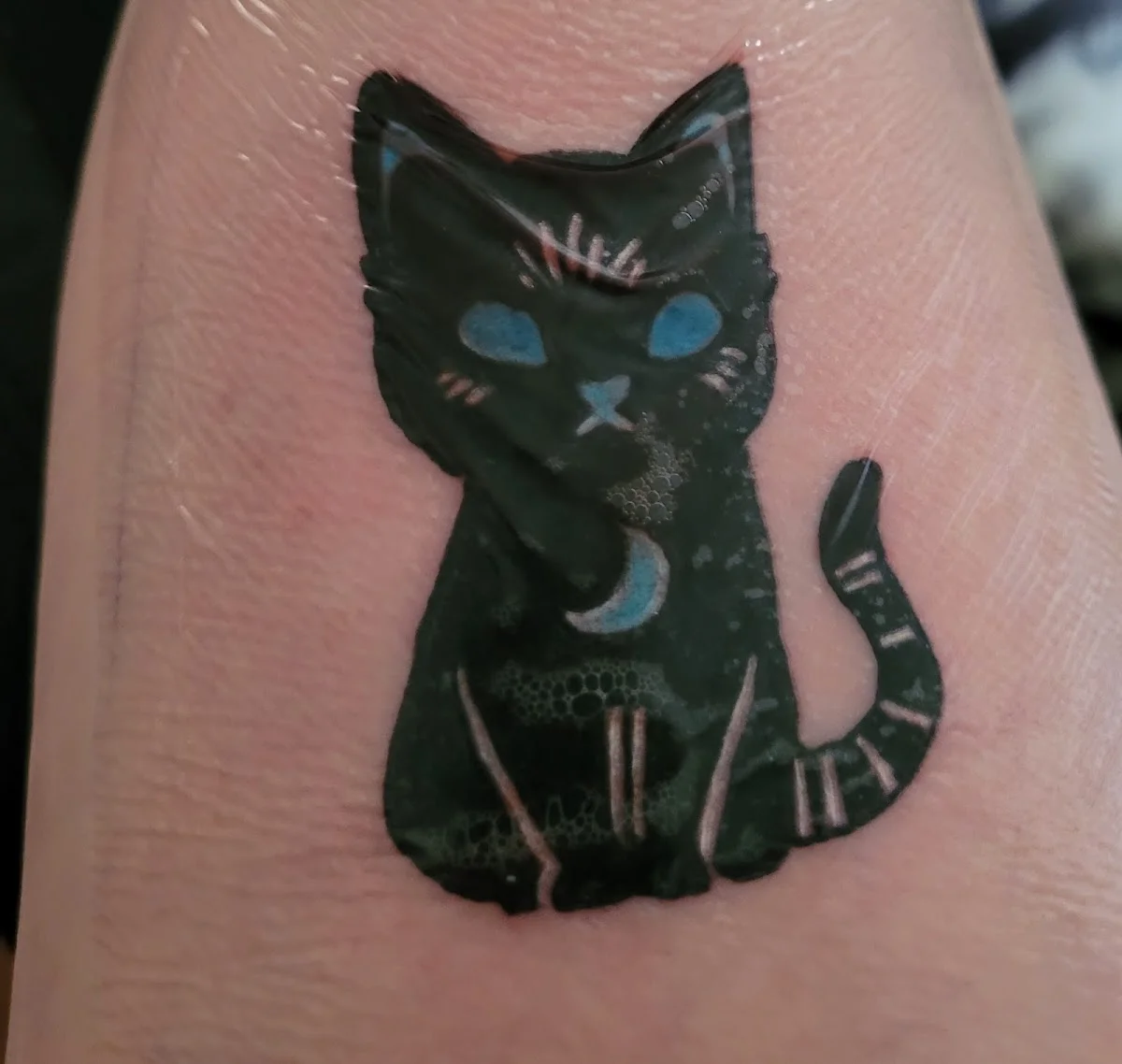 Kaotic Ink Tattoo & Piercing Studio tattoo shop in Providence, RI