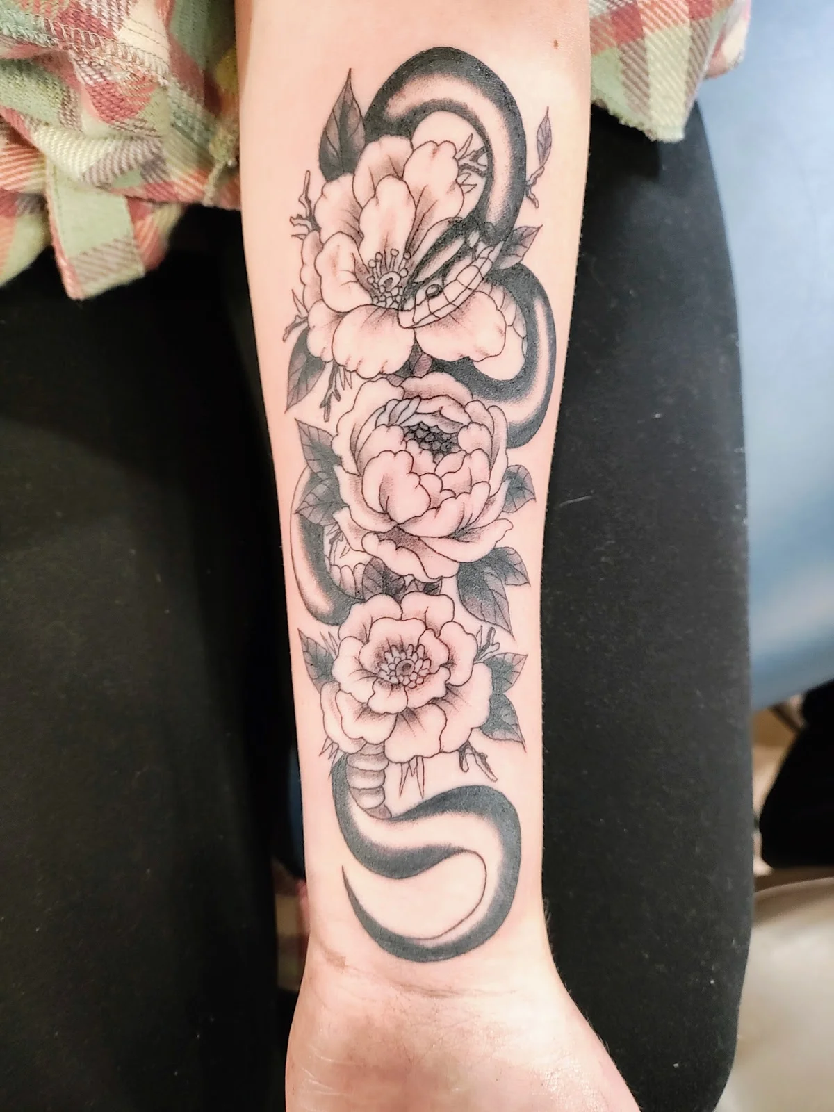 Old School Tattoo and Piercing tattoo shop in Bellingham, WA