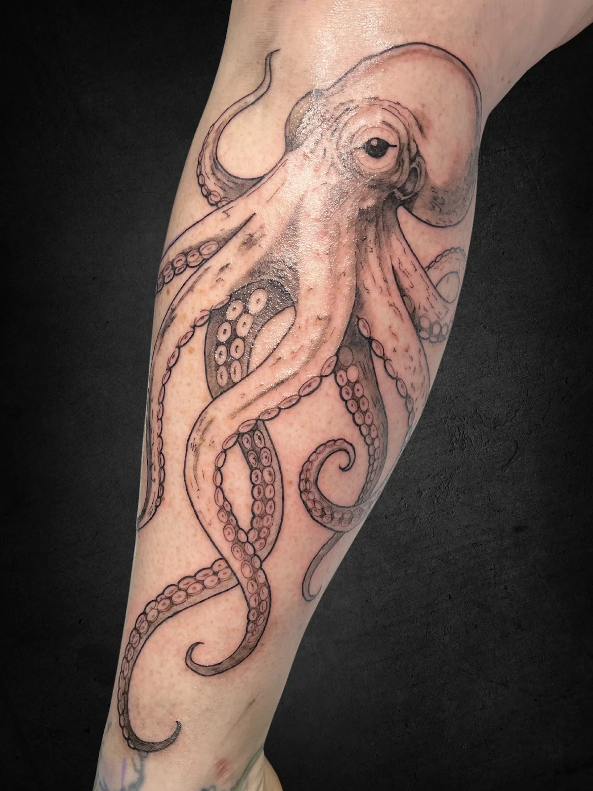 coastal tattoo tattoo shop in Bellingham, WA