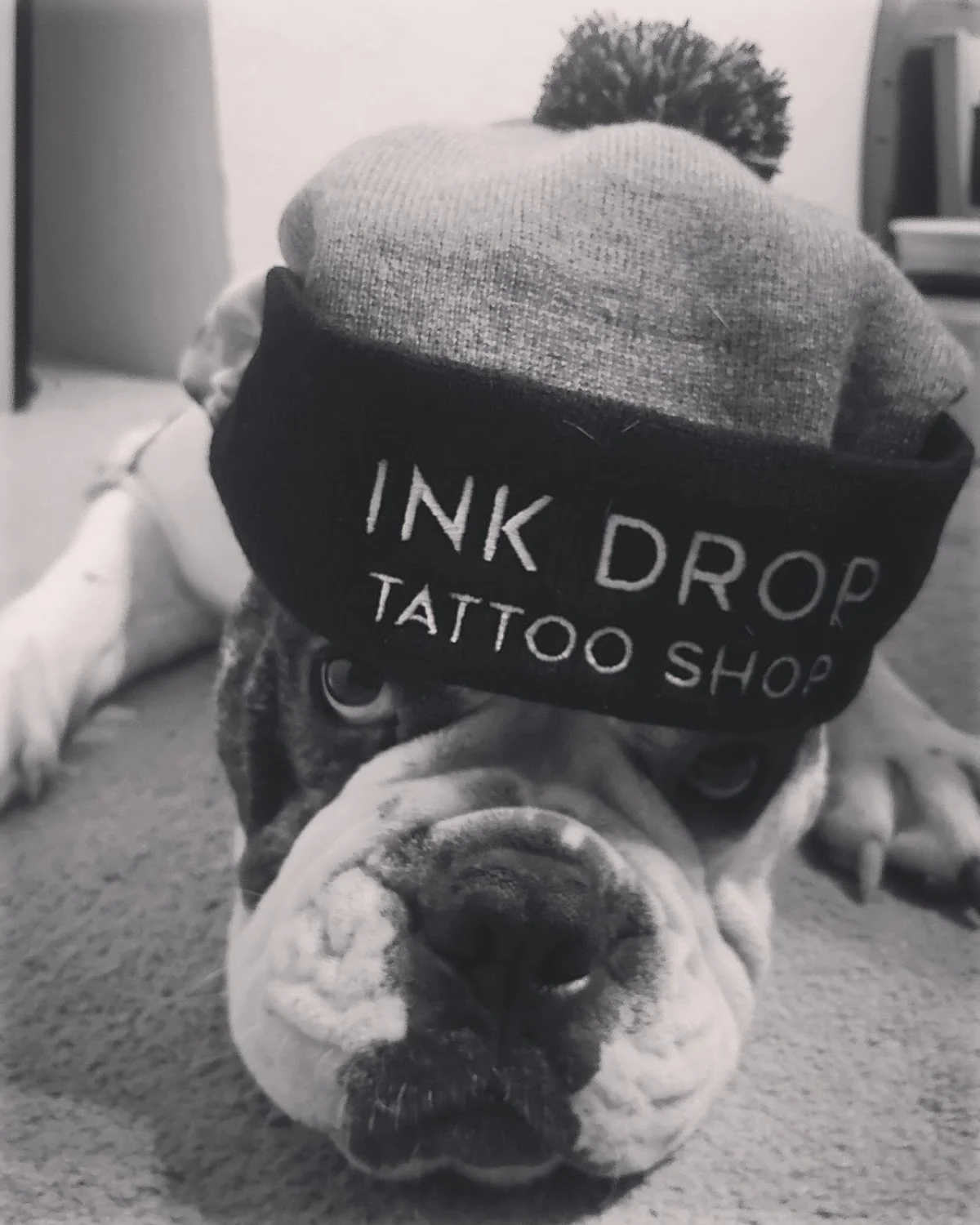 Ink Drop Tattoo Shop tattoo shop in Bellingham, WA