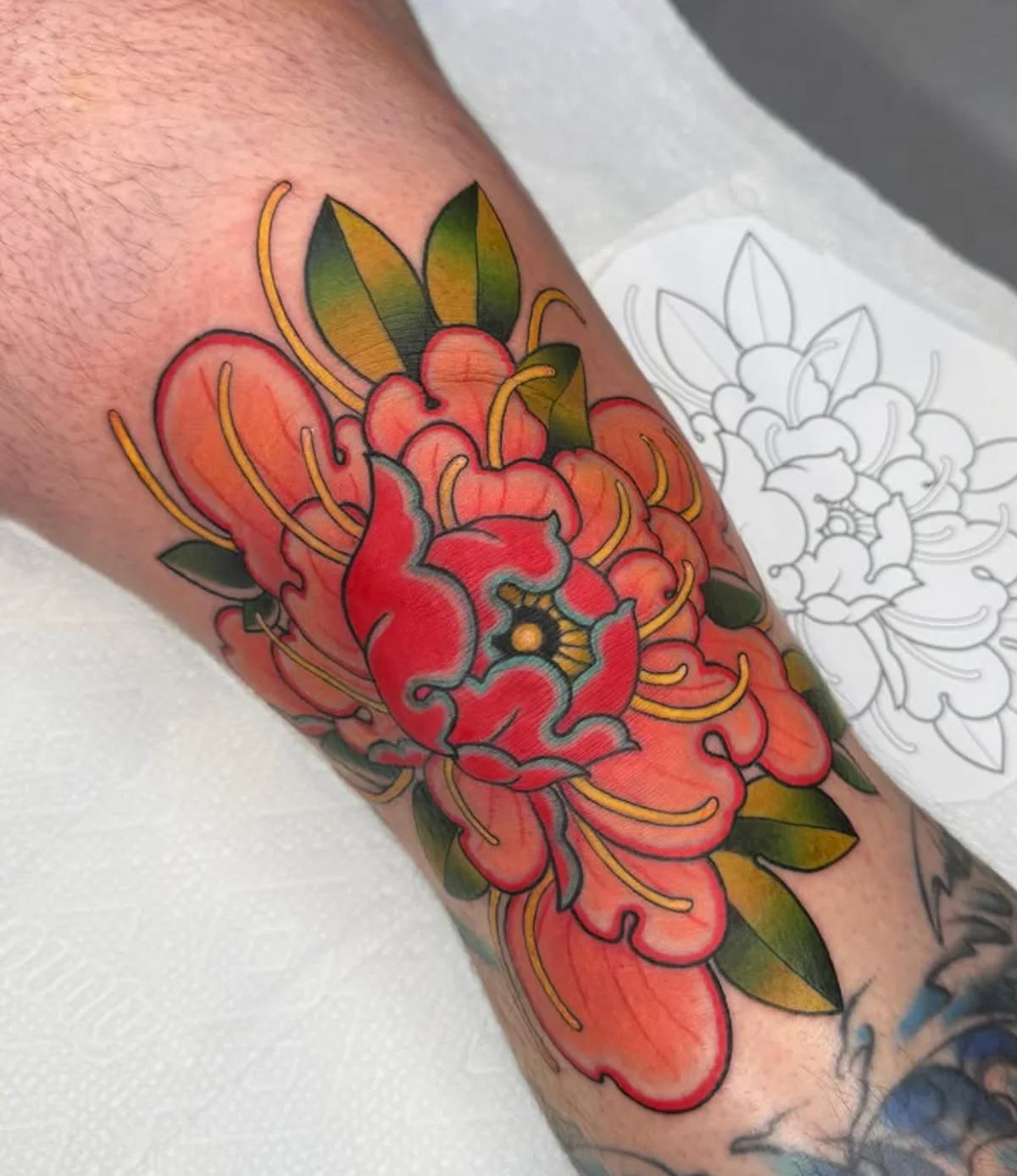 Starkweather Tattoo Collective tattoo shop in Madison, WI