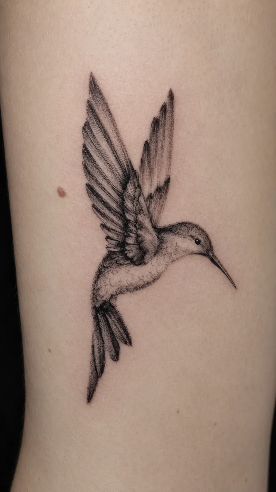 Samsara Tattoo Studio tattoo shop in San Jose